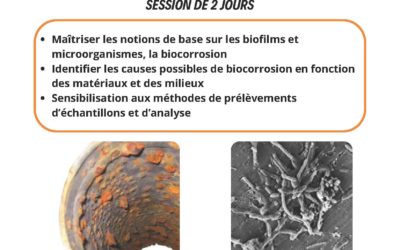 Formation – Biodétérioration