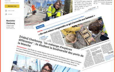 La presse parle de Corrodys !